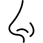 ba-icon-2