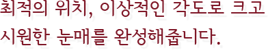 최적의 위치, 이상적인 각도로 크고 시원한 눈매를 완성해줍니다.
