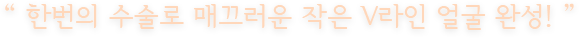 “ 한번의 수술로 매끄러운 작은 V라인 얼굴 완성! ”