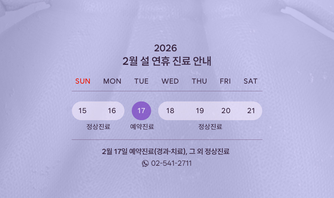 설 연휴 진료 안내