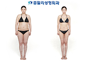 Liposuction (Forearm+Armpit, Upper Lower Abdomen, Both Flank Side, Whole Thigh, Calf BTX, Polymastia), Breast Surgery